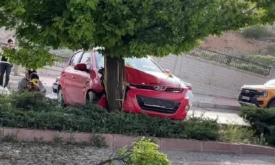 Elazığ’da otomobil ağaca çarptı