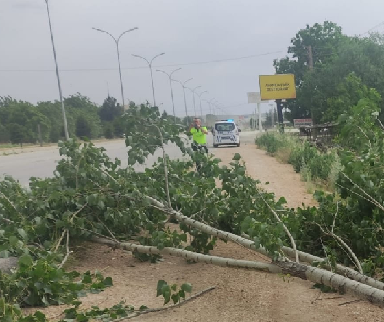 Afyonkarahisar’da kötü hava şartları hayatı olumsuz etkiledi