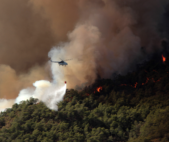 Muğla’da 31 Ekim’e kadar ormanlara giriş yasaklandı