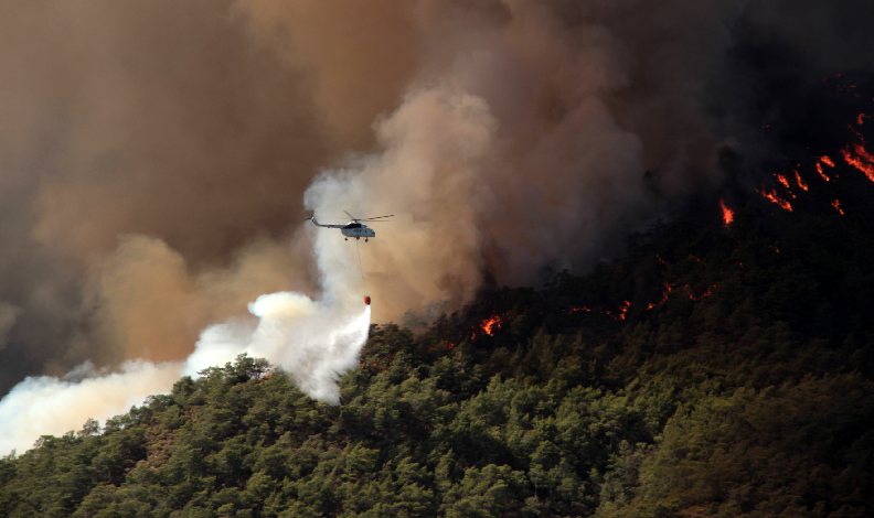 Muğla’da 31 Ekim’e kadar ormanlara giriş yasaklandı