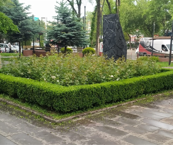 Sincan Belediyesinden ağaçlara bakım