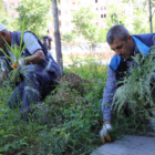 Yenişehir Millet Bahçesi bakımdan geçirildi