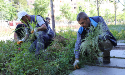 Yenişehir Millet Bahçesi bakımdan geçirildi