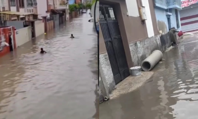 Sulama kanalı değil yol