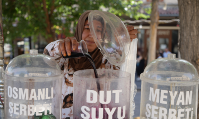 Dut ağacının altında, dut suyu satıyor