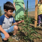 Öğrenciler doğayı ve sebzeleri tanıyor