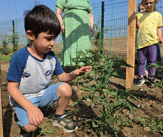 Öğrenciler doğayı ve sebzeleri tanıyor