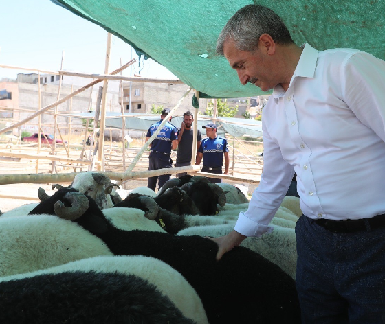 Tahmazoğlu'ndan Kurban Bayramı'nda vatandaşın yüzünü güldürecek hamle