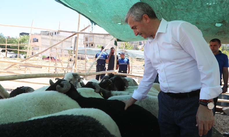 Tahmazoğlu'ndan Kurban Bayramı'nda vatandaşın yüzünü güldürecek hamle