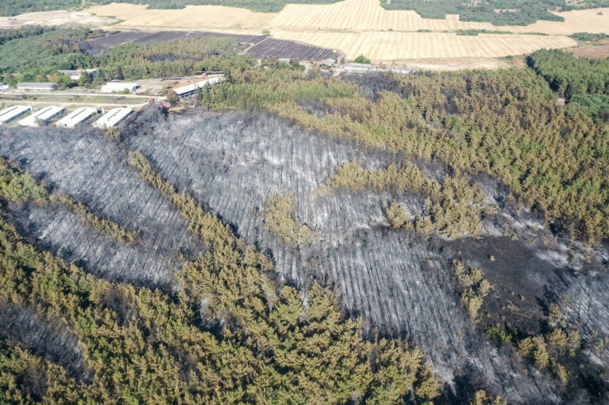 Bursa'da makilik alanda başlayıp Bursa Uludağ Üniversitesi (BUÜ) Görükle Kampüsü'ndeki ormana sıçrayan yangının kontrol altına alınmasının ardından soğutma çalışması sürüyor.
Yanan ormanlık alan, dronla görüntülendi.  