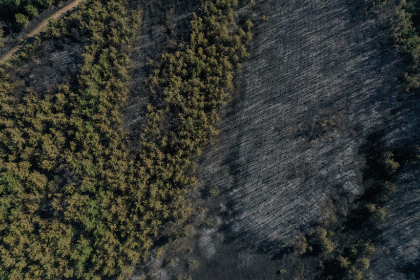 Bursa'da makilik alanda başlayıp Bursa Uludağ Üniversitesi (BUÜ) Görükle Kampüsü'ndeki ormana sıçrayan yangının kontrol altına alınmasının ardından soğutma çalışması sürüyor.
Yanan ormanlık alan, dronla görüntülendi.  