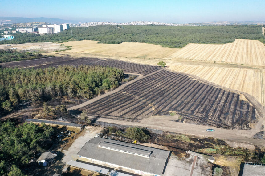 Bursa'da makilik alanda başlayıp Bursa Uludağ Üniversitesi (BUÜ) Görükle Kampüsü'ndeki ormana sıçrayan yangının kontrol altına alınmasının ardından soğutma çalışması sürüyor. Yanan ormanlık alan, dronla görüntülendi. 