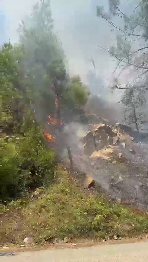 KAHRAMANMARAŞ'TA ORMAN YANGINI KAHRAMANMARAŞ'IN 12 ŞUBAT İLÇESİNDE ÇIKAN ORMAN YANGINI KONTROL ALTINA ALINMAYA ÇALIŞILIYOR