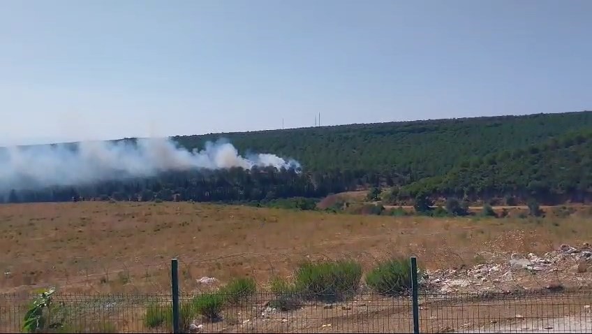 YALOVA'NIN ARMUTLU İLÇESİNDE İKİ FARKLI NOKTADA ORMAN YANGINI ÇIKTI. YANGINI SÖNDÜRMEK İÇİN HAVADAN VE KARADAN MÜDAHALE EDİLİYOR. (ALİ İHSAN UĞUR - ERHAN ERDOĞAN/YALOVA-İHA)<br />
Yalova'nın Armutlu ilçesinde iki farklı noktada orman yangını çıktı. Yangını söndürmek için havadan ve karadan müdahale ediliyor.