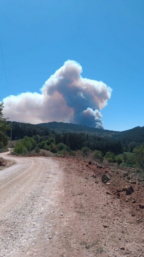 BOLU'DA İKİ İLÇE ARASINDA BAŞLAYAN ANIZ YANGINI ORMANA SIÇRADI. MUDURNU-GÖYNÜK İLÇE SINIRINDA BÜYÜYEN ORMAN YANGININA ÇOK SAYIDA EKİP SEVK EDİLDİ. (ENES ÖZKAN - İLHAMİ ÇETİN/BOLU-İHA)
Bolu'da iki ilçe arasında başlayan anız yangını ormana sıçradı. Mudurnu-Göynük ilçe sınırında büyüyen orman yangınına çok sayıda ekip sevk edildi.