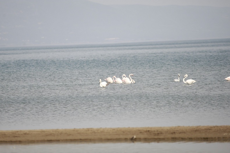 İznik gölü'nde mola